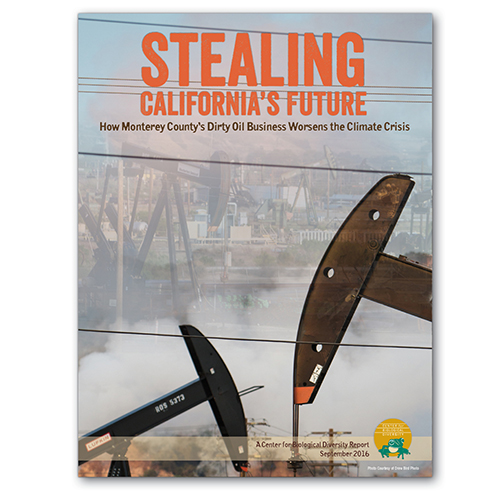 Stealing California report cover